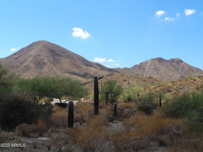 McDowell Mountains (1)