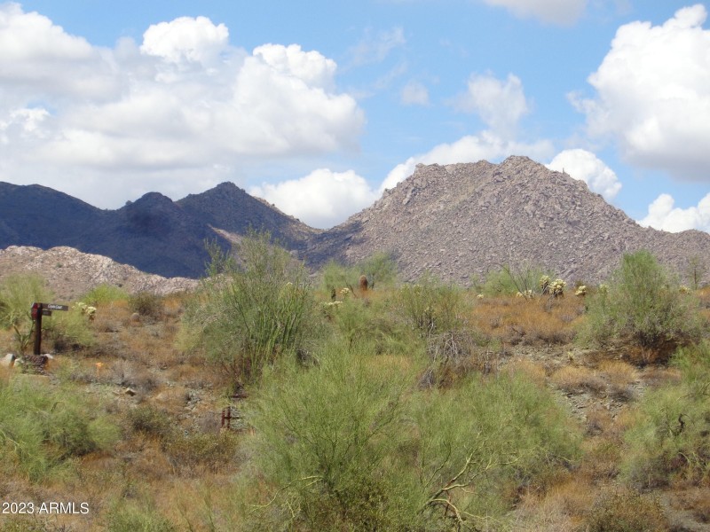 McDowell Mountains (4)