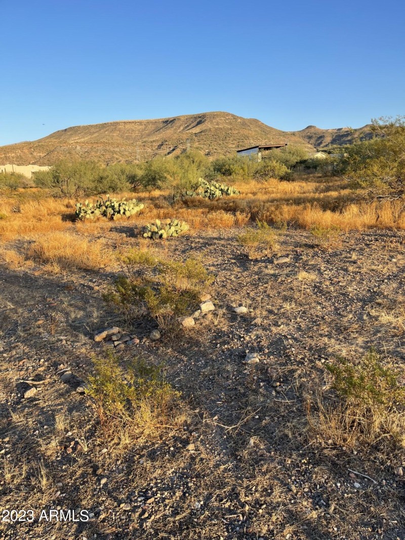 Tara Springs 4