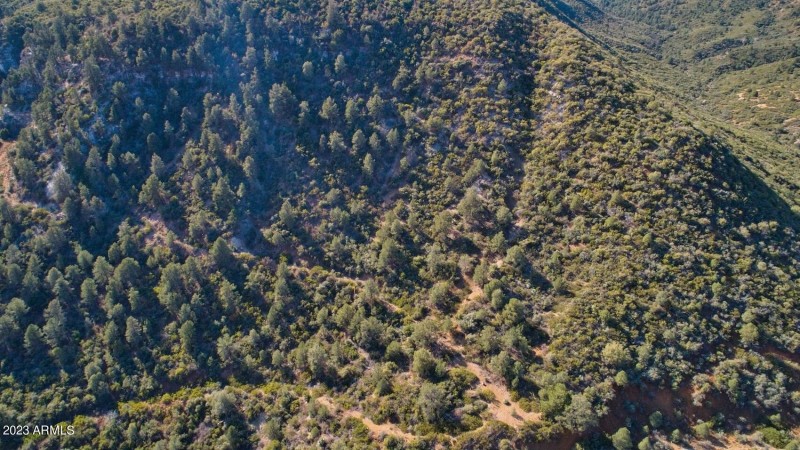 DJI_0029