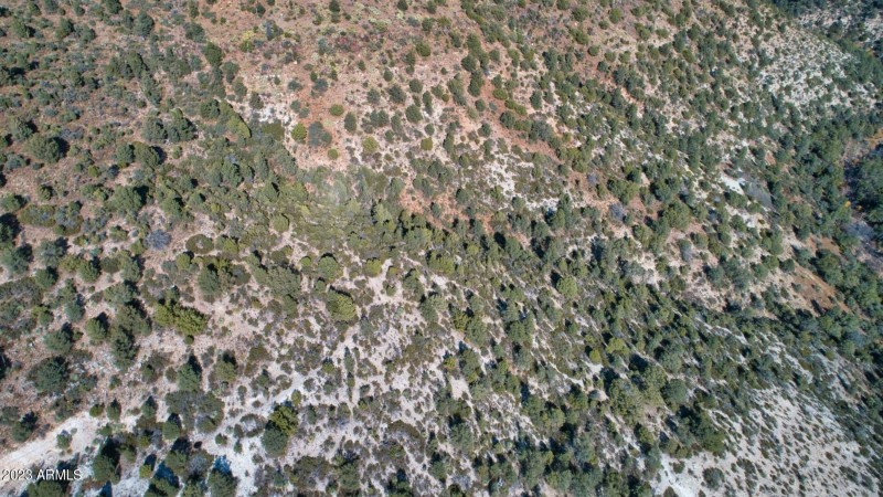 DJI_0072