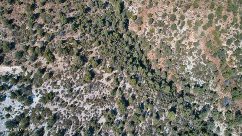 DJI_0073