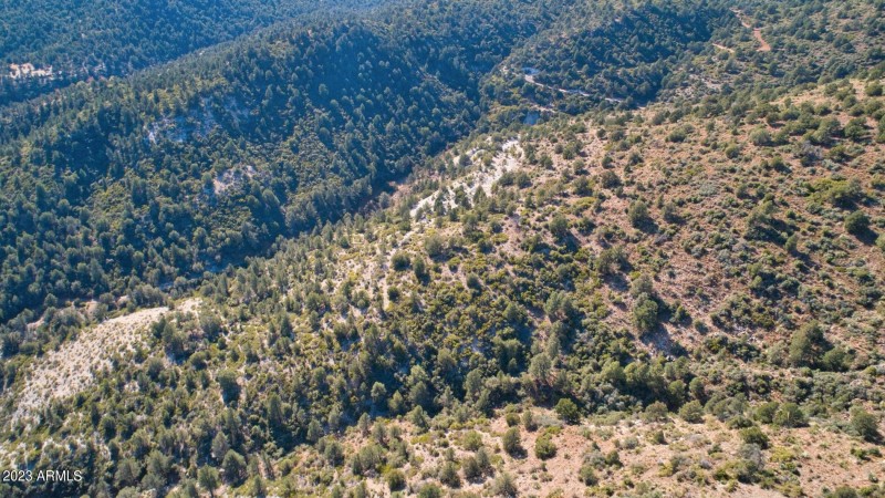 DJI_0079