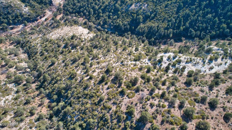 DJI_0081