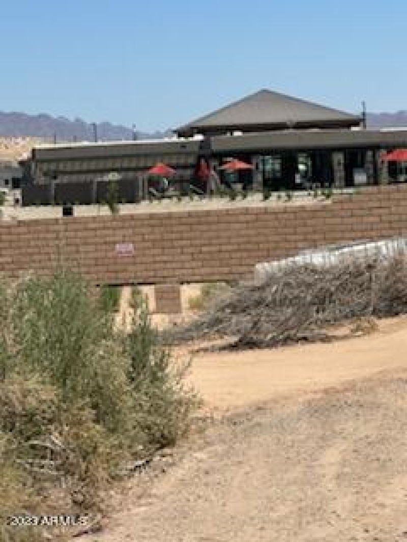 IMG_0384(1)