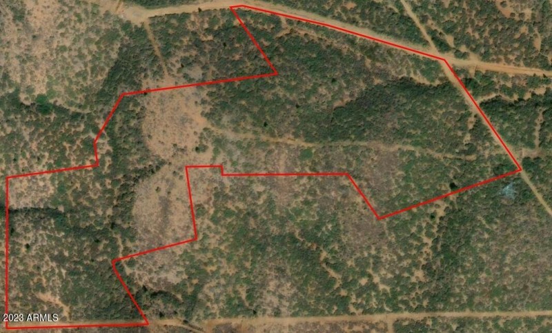 Ariel 1 View