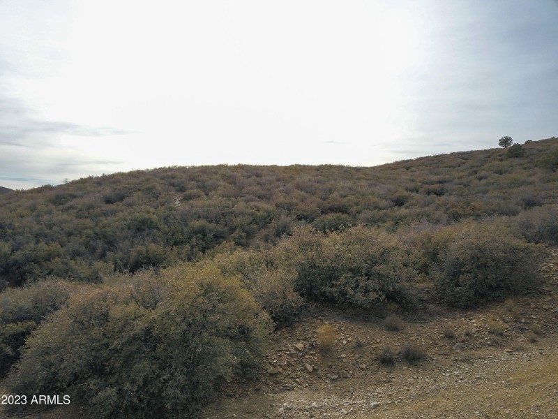 Drone view 2