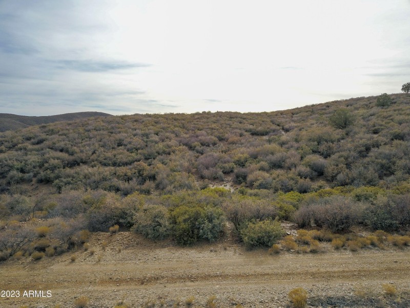 Drone view 19