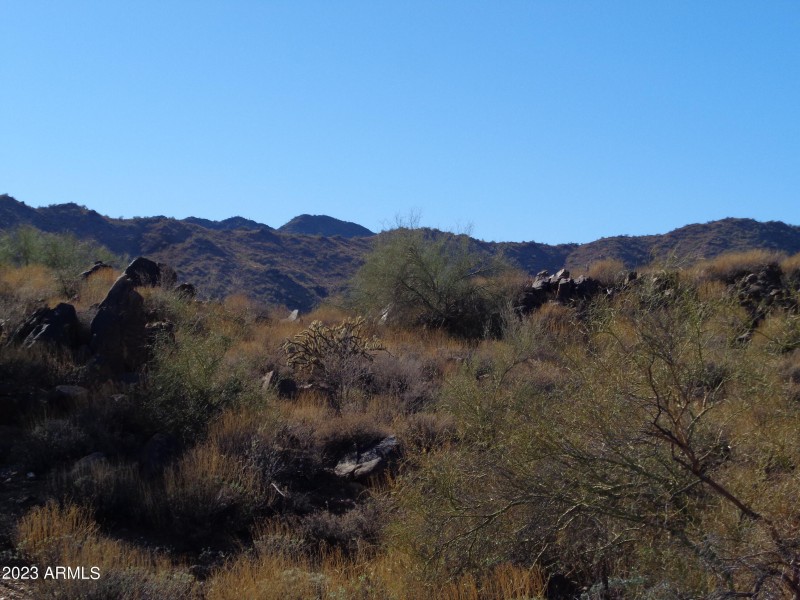 McDowell Mountains