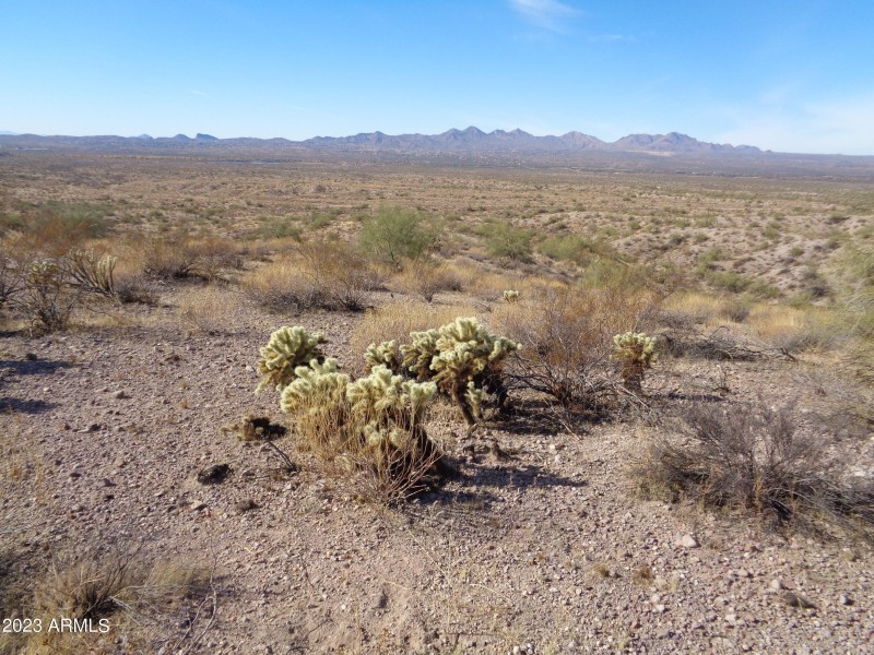 Landscape (2)