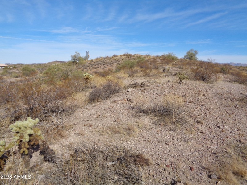 Landscape (3)