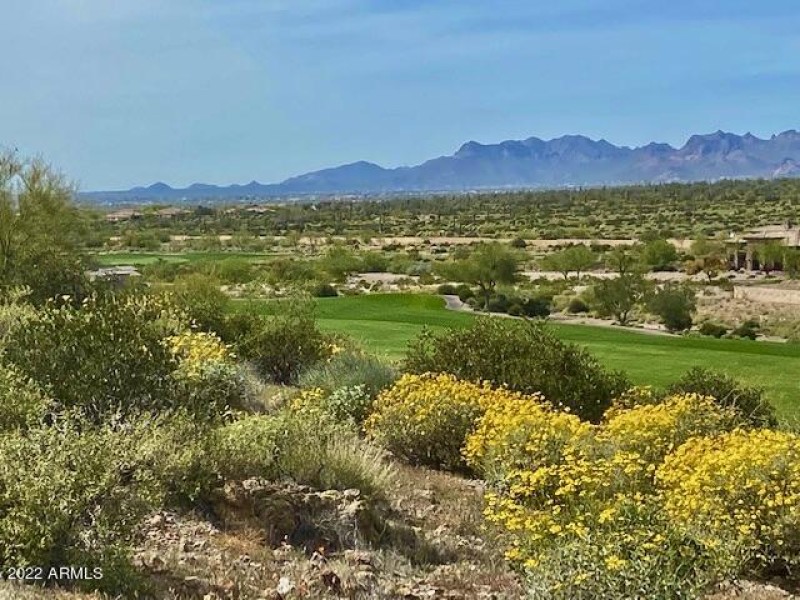 Usery Mountain Views