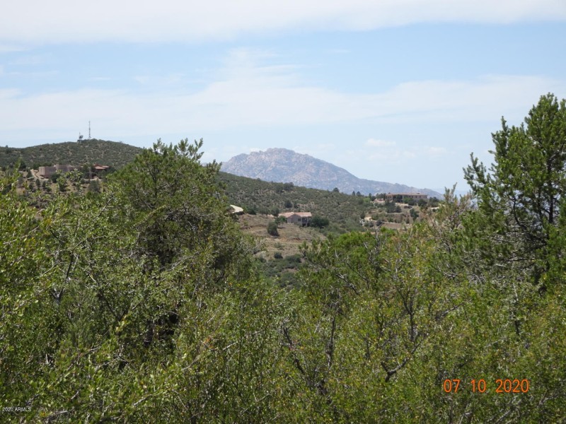 DSC00318