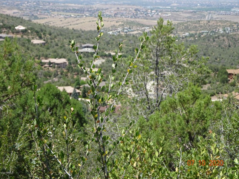 DSC00323