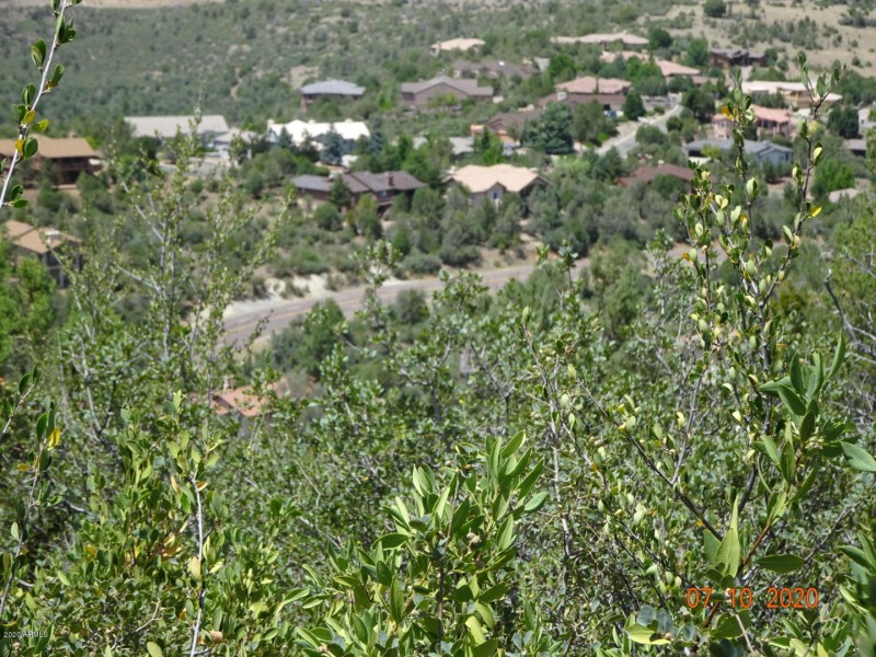 DSC00325