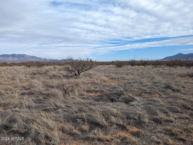 Southeast View