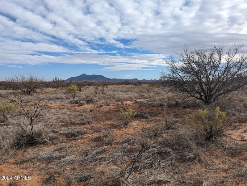 Southern View with horse trails nearby