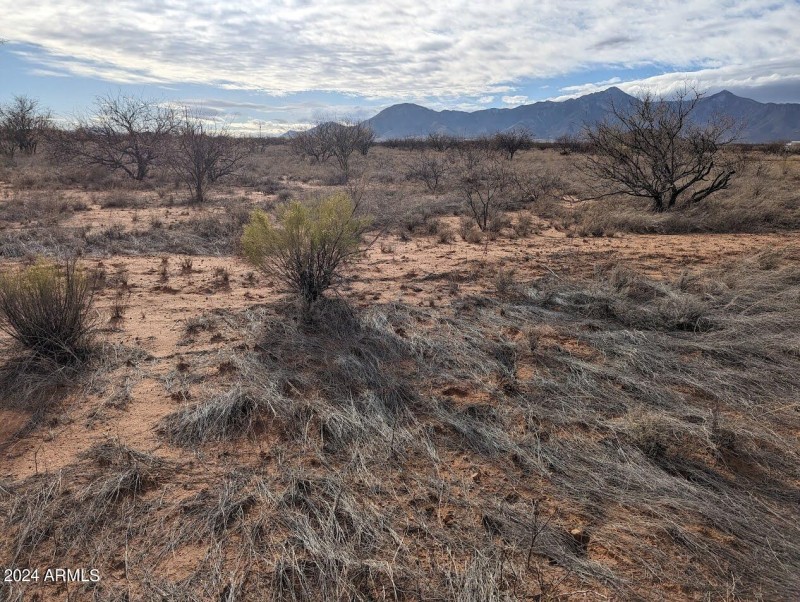 Southwest View towards Coronado National