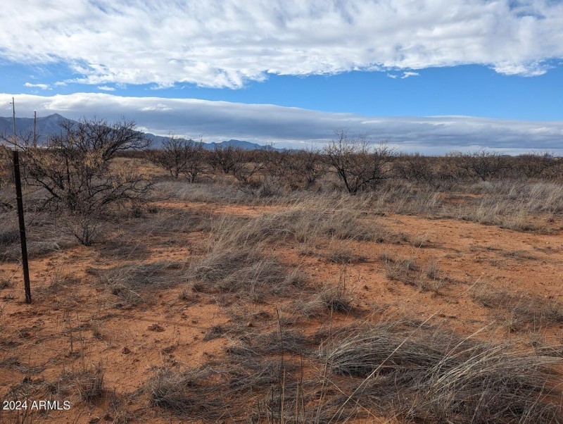 West View of Huachuca Mountains