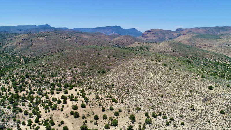 DJI_0131