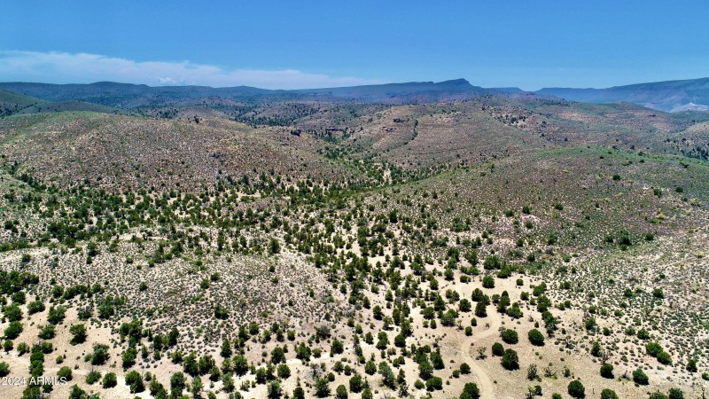 DJI_0132