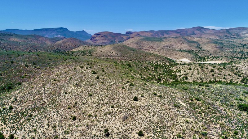DJI_0139