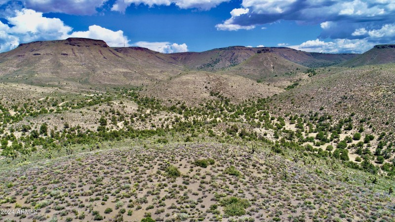 DJI_0154