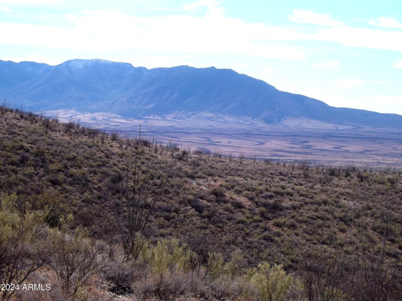 Red Mountain lot 1 05