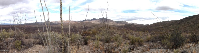 Red Mountain Lot 2 03