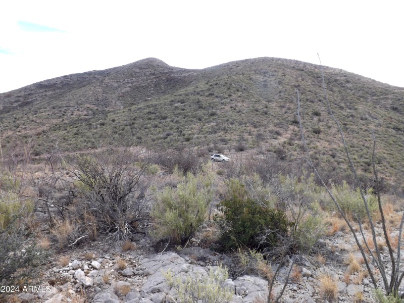 Red Mountain Lot 2 04