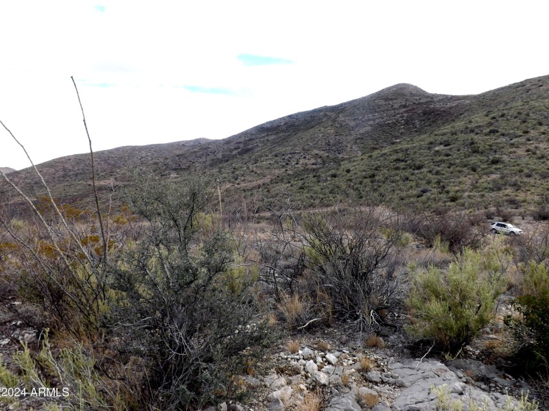 Red Mountain Lot 2 05