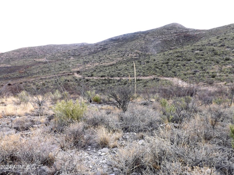 Red Mountain Lot 2 06