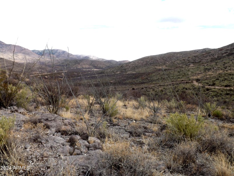 Red Mountain Lot 2 07