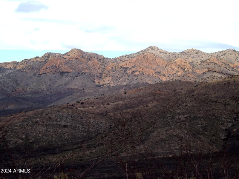Red Mountain Lot 2 08