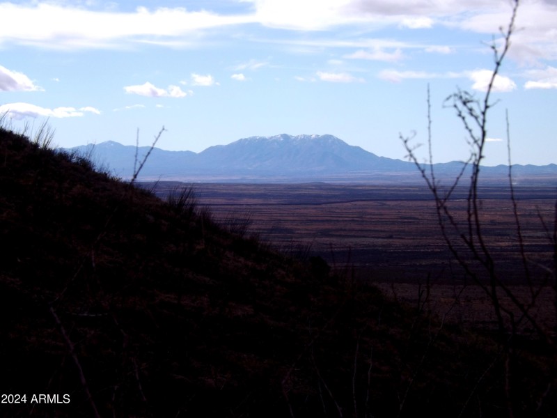Red Mountain Lot 2 09