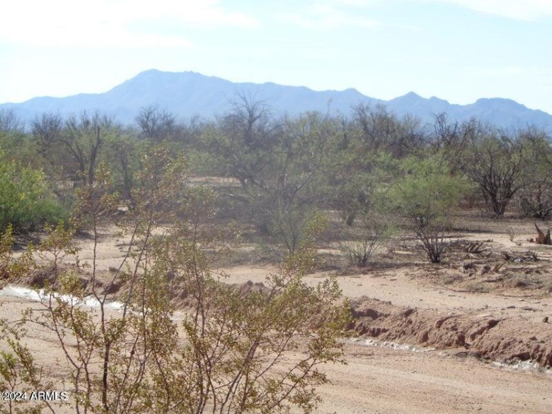 Pic 1