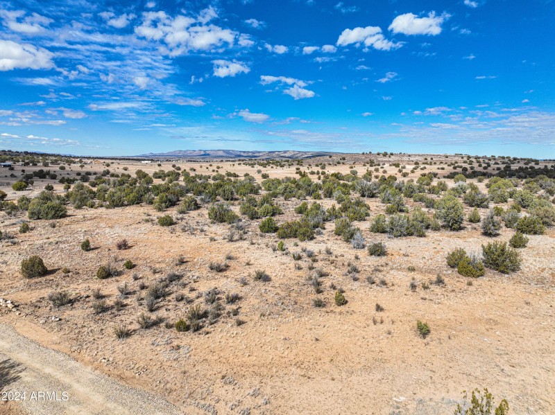 Aerial View 5