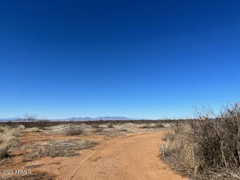 IMG_7375.jpg NO 6 WILLCOX LOT