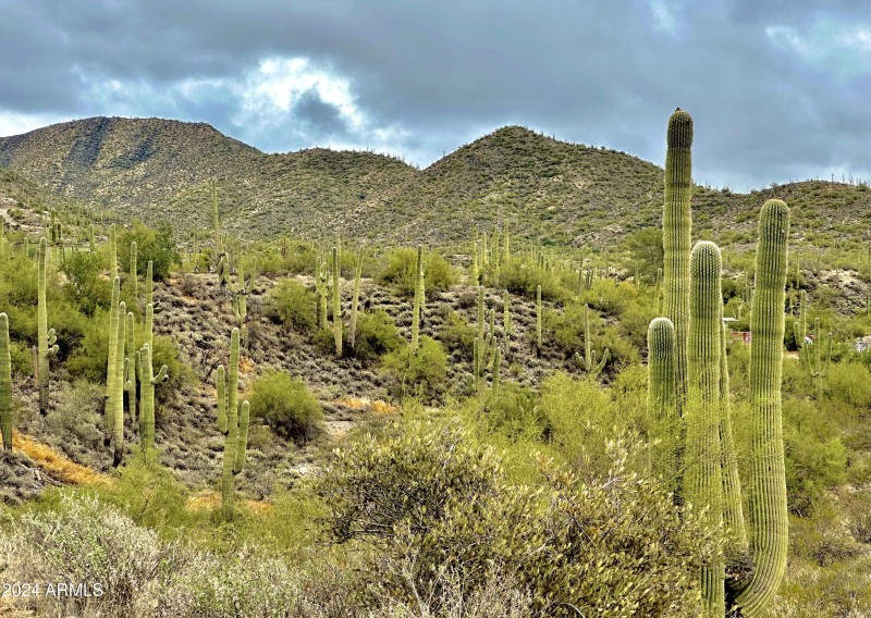 Cave Creek Lifestyle