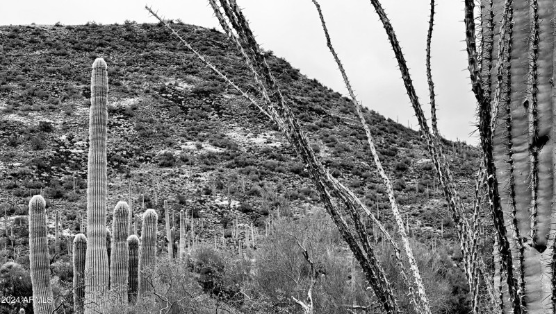 Hiking & Riding Trailheads at the site