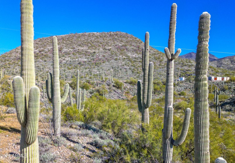 CAVE CREEK LAND
