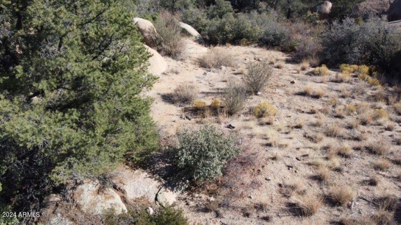 DJI_0101