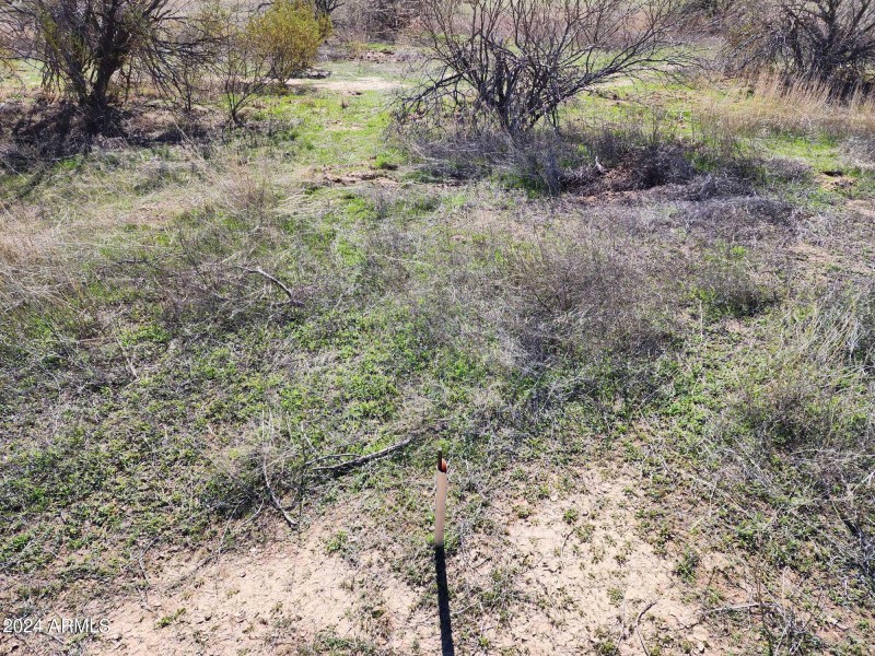 IMG-20240315-WA0078