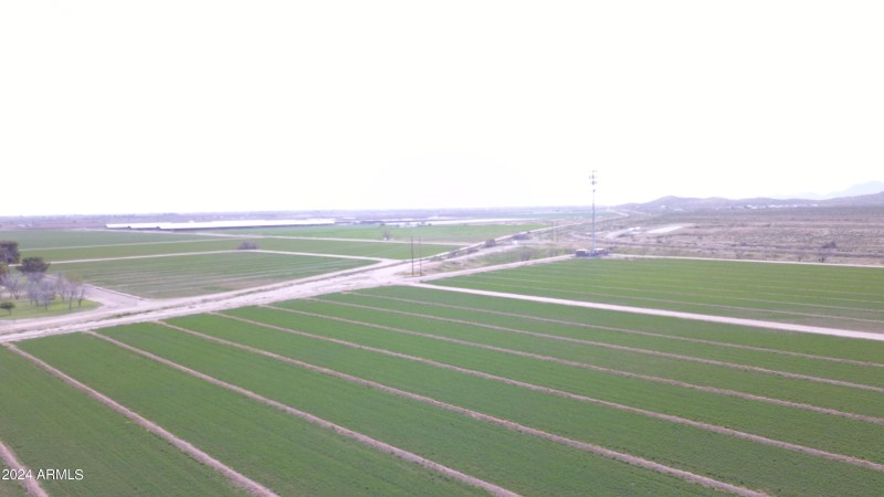 DJI_0037