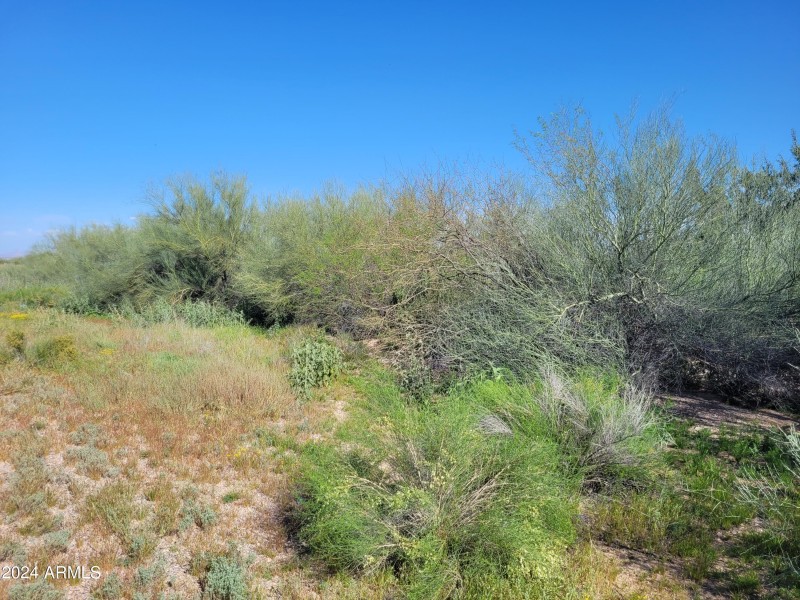 Land 2