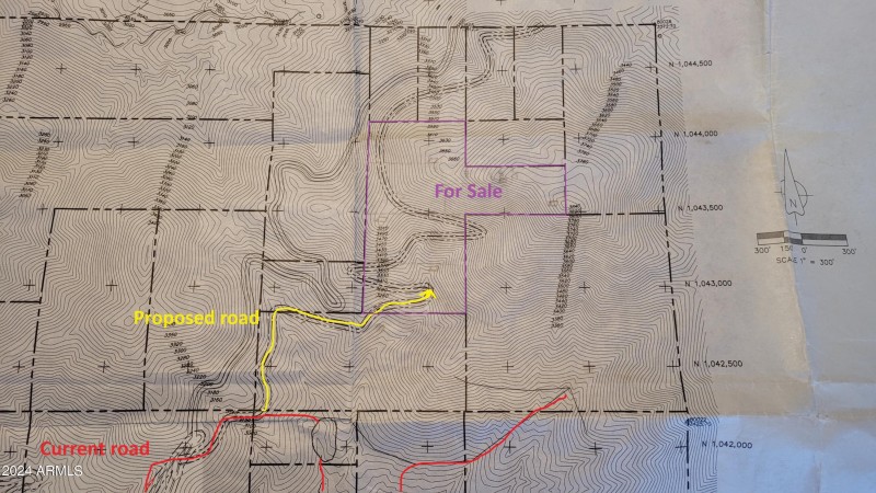 Proposed Road