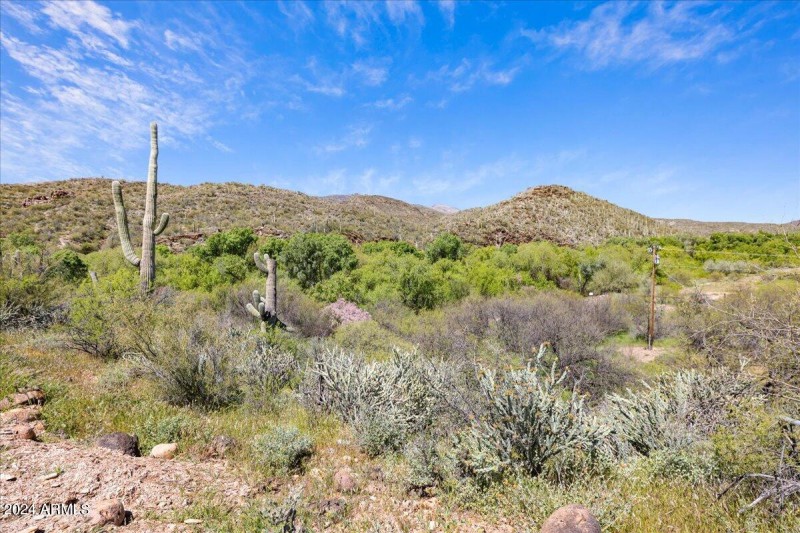 Lot Photo