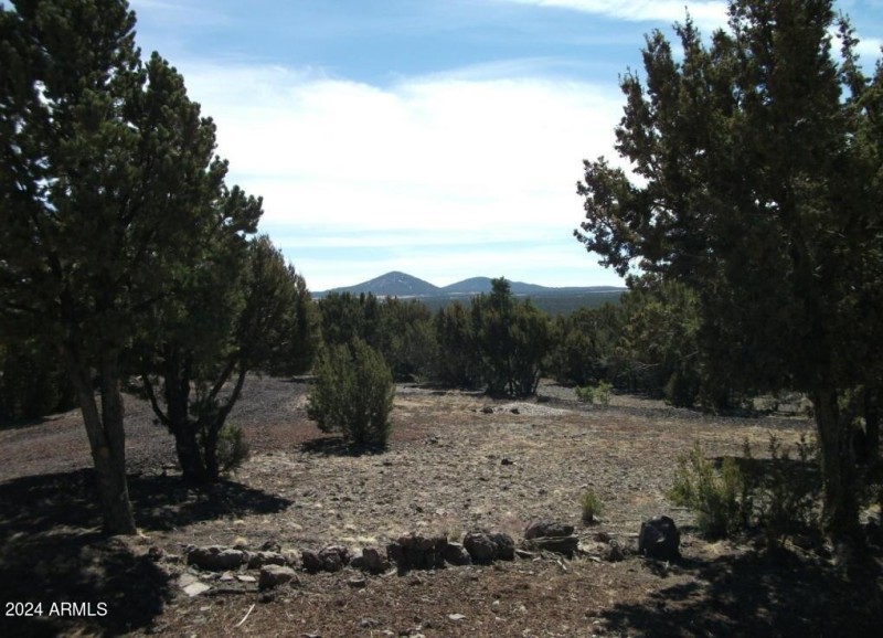 1 COUNTY ROAD 8060