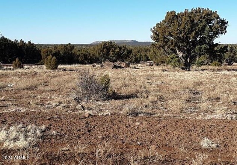 1 COUNTY ROAD 8060