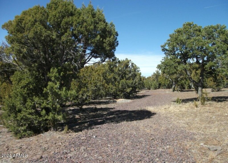 4 COUNTY ROAD 8058